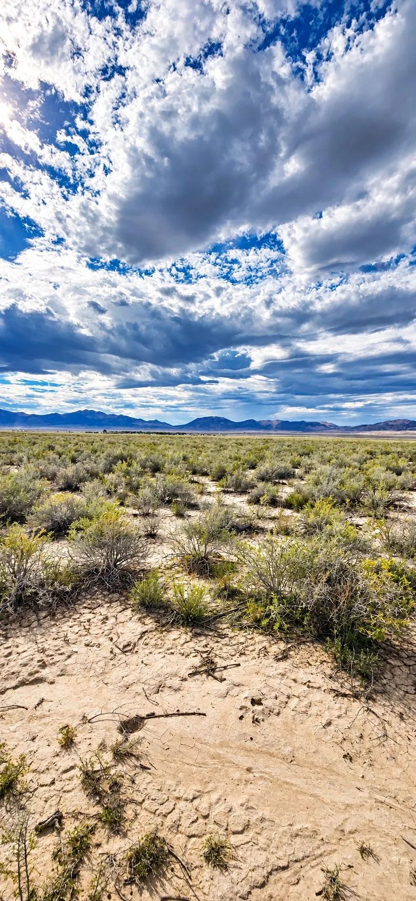 Decorative background for 10 Acres of Room to Breathe Near Montello, Nevada image 10