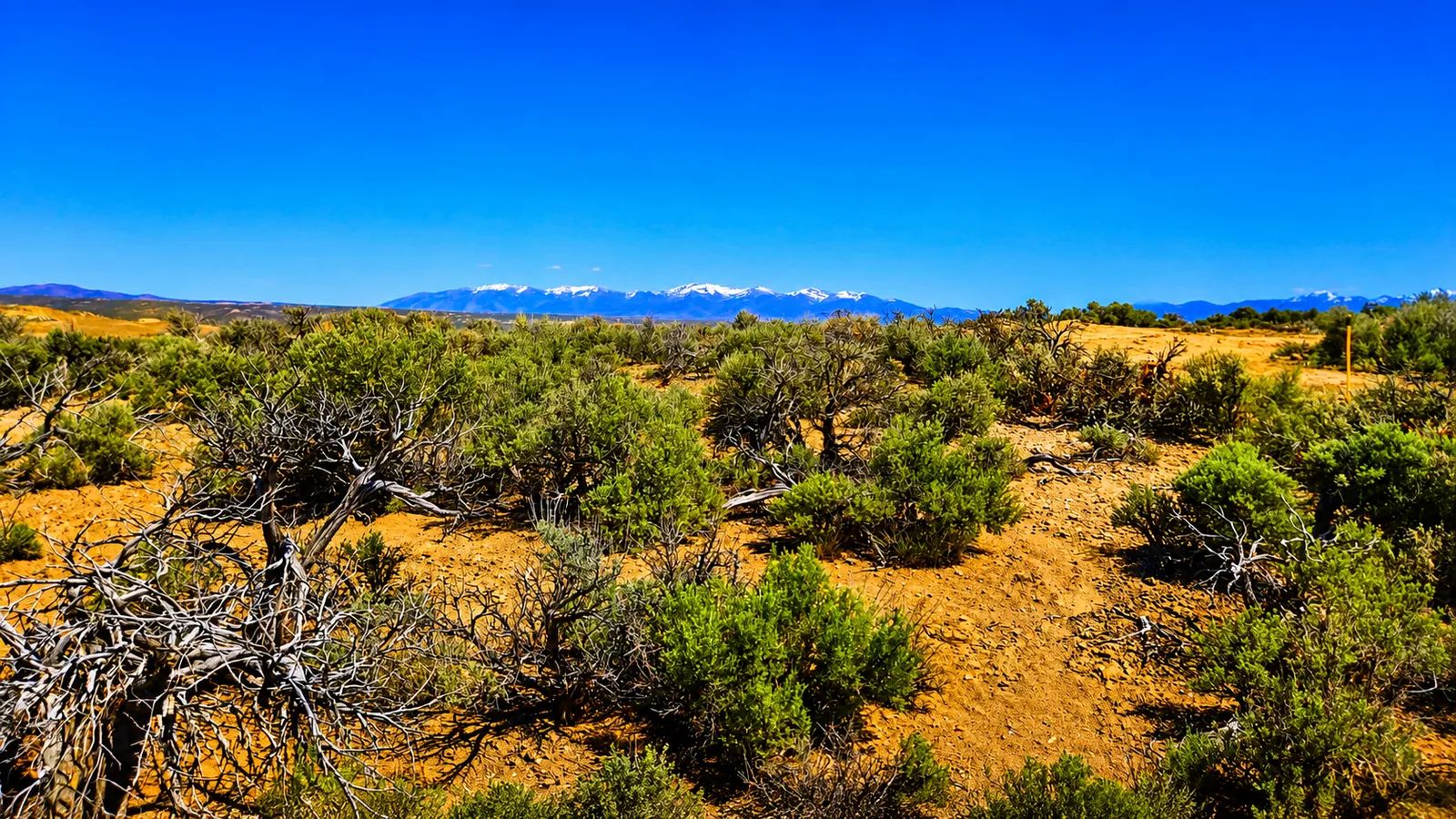 Freedom for $129/month! 1.13 Acres Elko County, NV in Elko County, NV