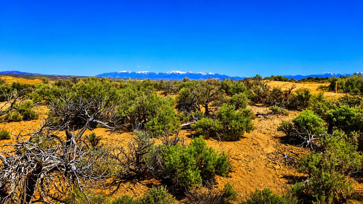 Freedom for $129/month! 1.13 Acres Elko County, NV - Image 3