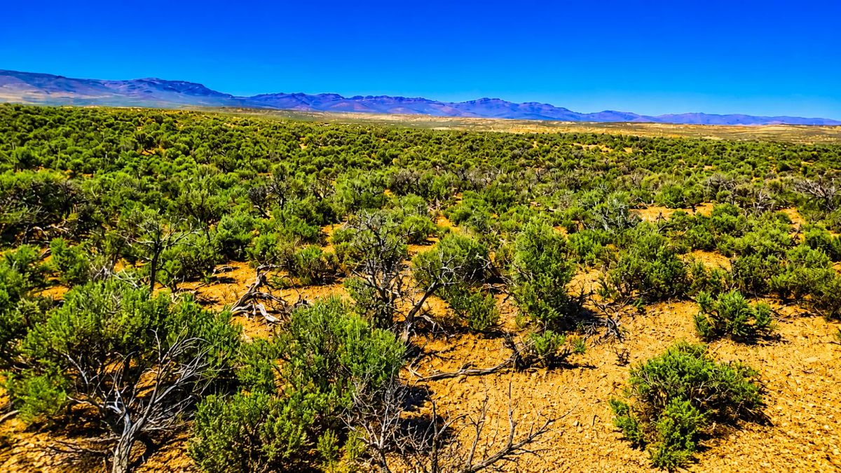 Freedom for $129/month! 1.13 Acres Elko County, NV - Image 4