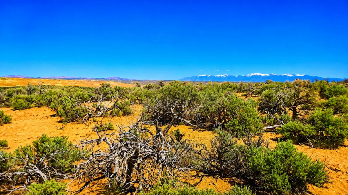 Decorative background for Freedom for $129/month! 1.13 Acres Elko County, NV image 5