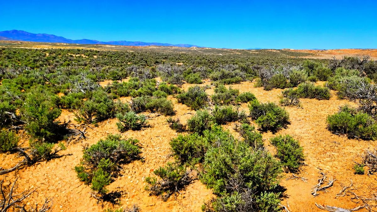 Decorative background for Freedom for $129/month! 1.13 Acres Elko County, NV image 6