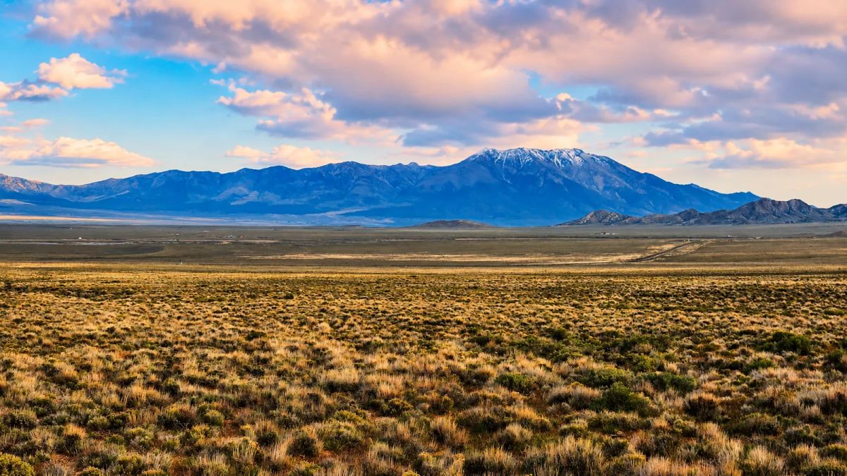 Off-Grid FREEDOM Starts Here! 1.9 Acres - Image 2
