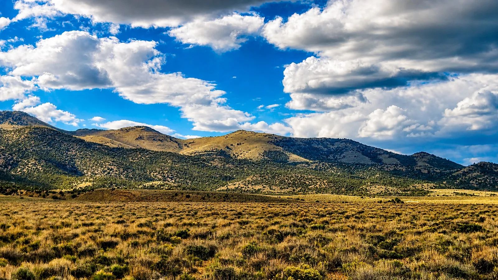 Off-Grid FREEDOM Starts Here! 1.9 Acres in Elko County, NV