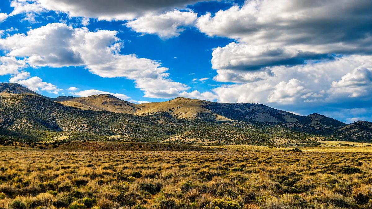 Off-Grid FREEDOM Starts Here! 1.9 Acres - Image 3