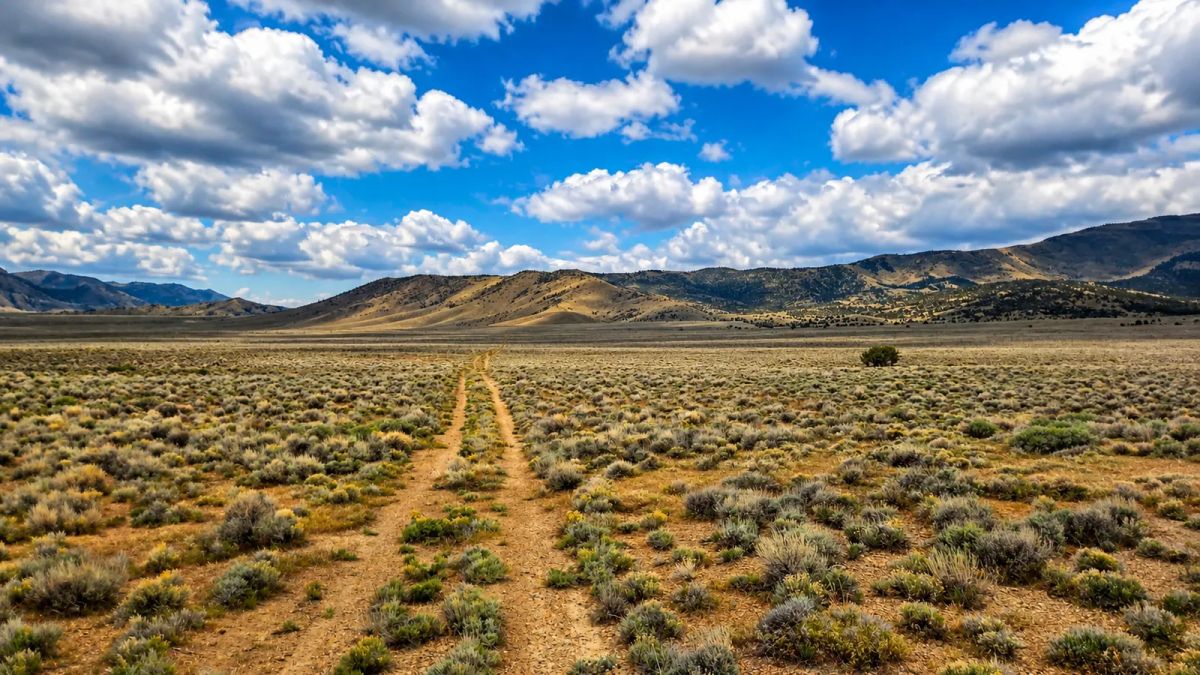Off-Grid FREEDOM Starts Here! 1.9 Acres - Image 4