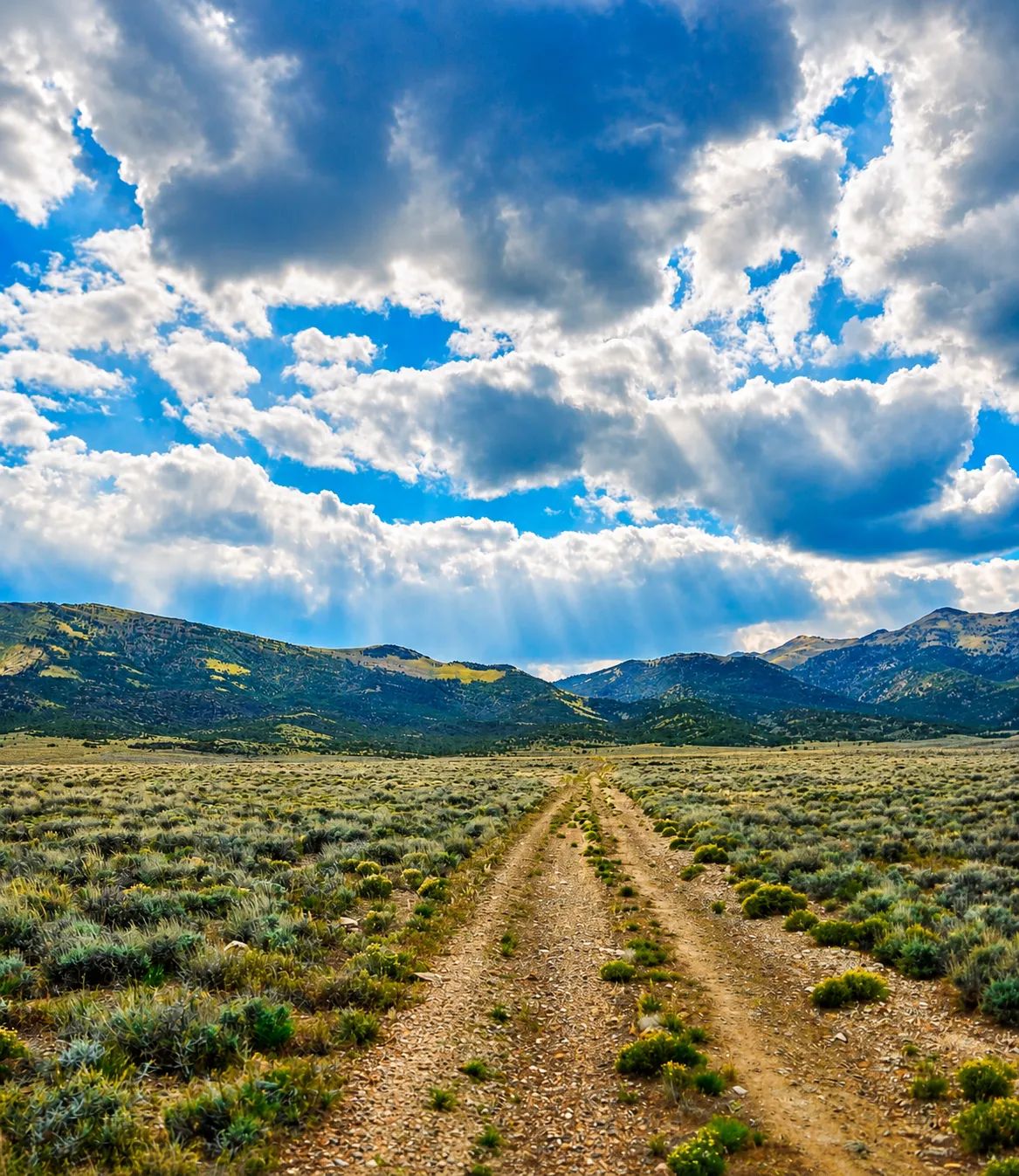 Decorative background for Off-Grid FREEDOM Starts Here! 1.9 Acres image 5