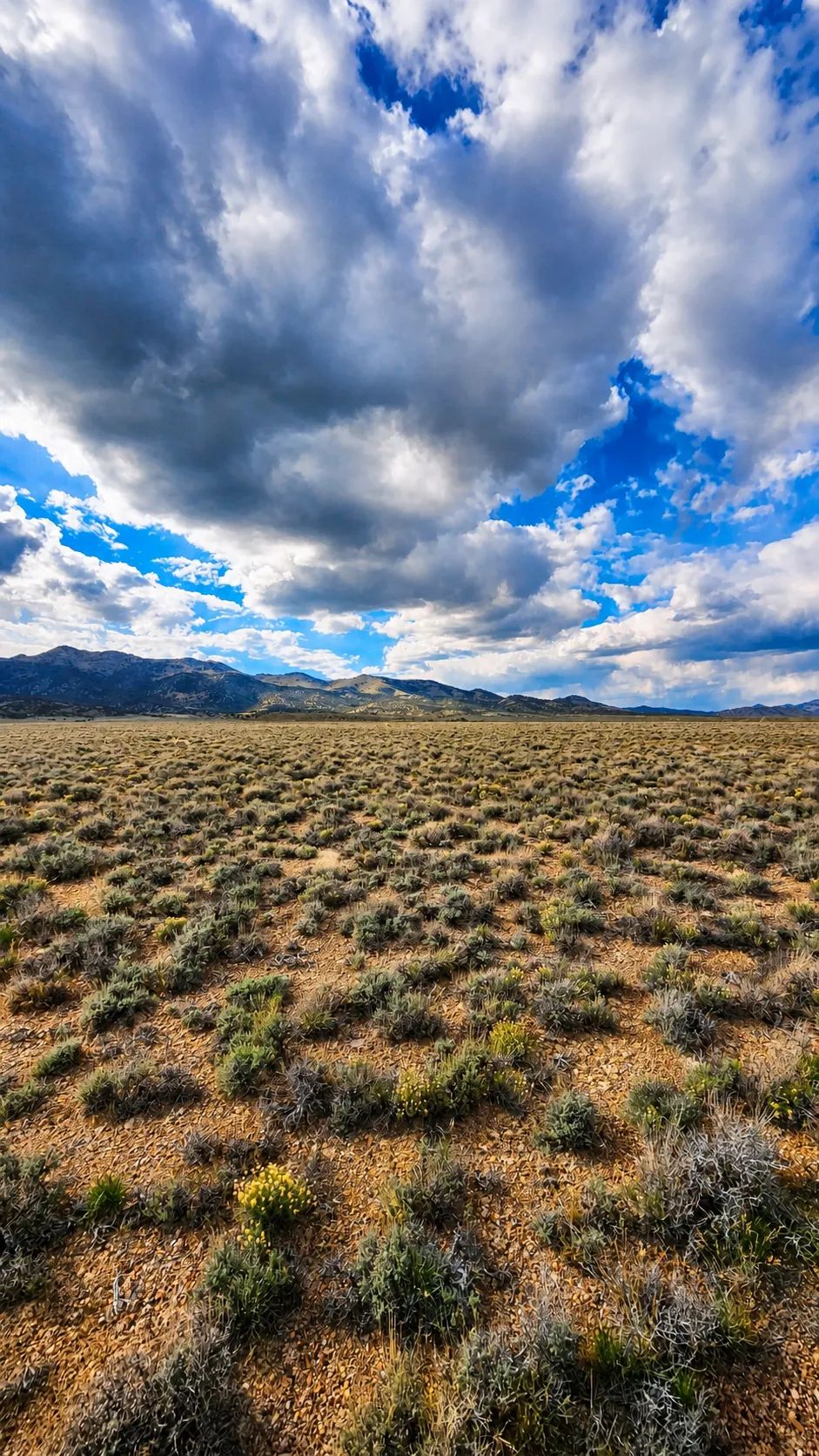 Decorative background for Off-Grid FREEDOM Starts Here! 1.9 Acres image 7