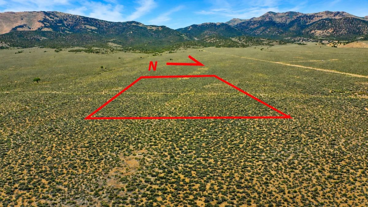 Decorative background for Off-Grid FREEDOM Starts Here! 1.9 Acres image 9