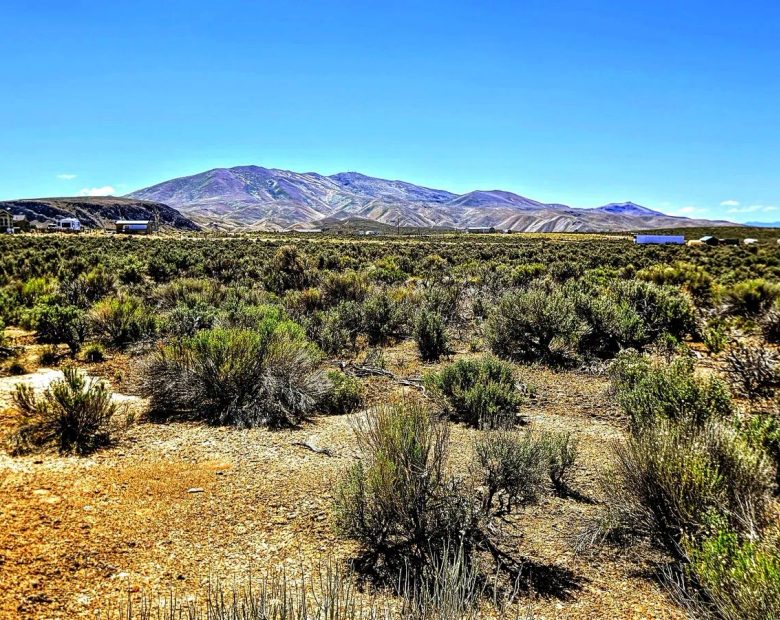 Off-Grid Camp/Cabin site! in Elko County, NV