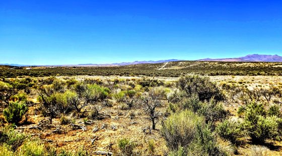 Off-Grid Camp/Cabin site! in Elko County, NV