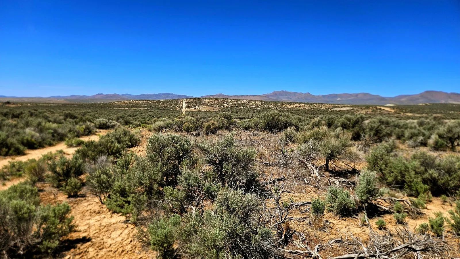 Off-Grid Camp/Cabin site! in Elko County, NV