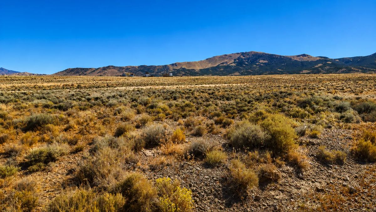 Decorative background for Own Your Wild West Base Camp Near Montello, Nevada image 5