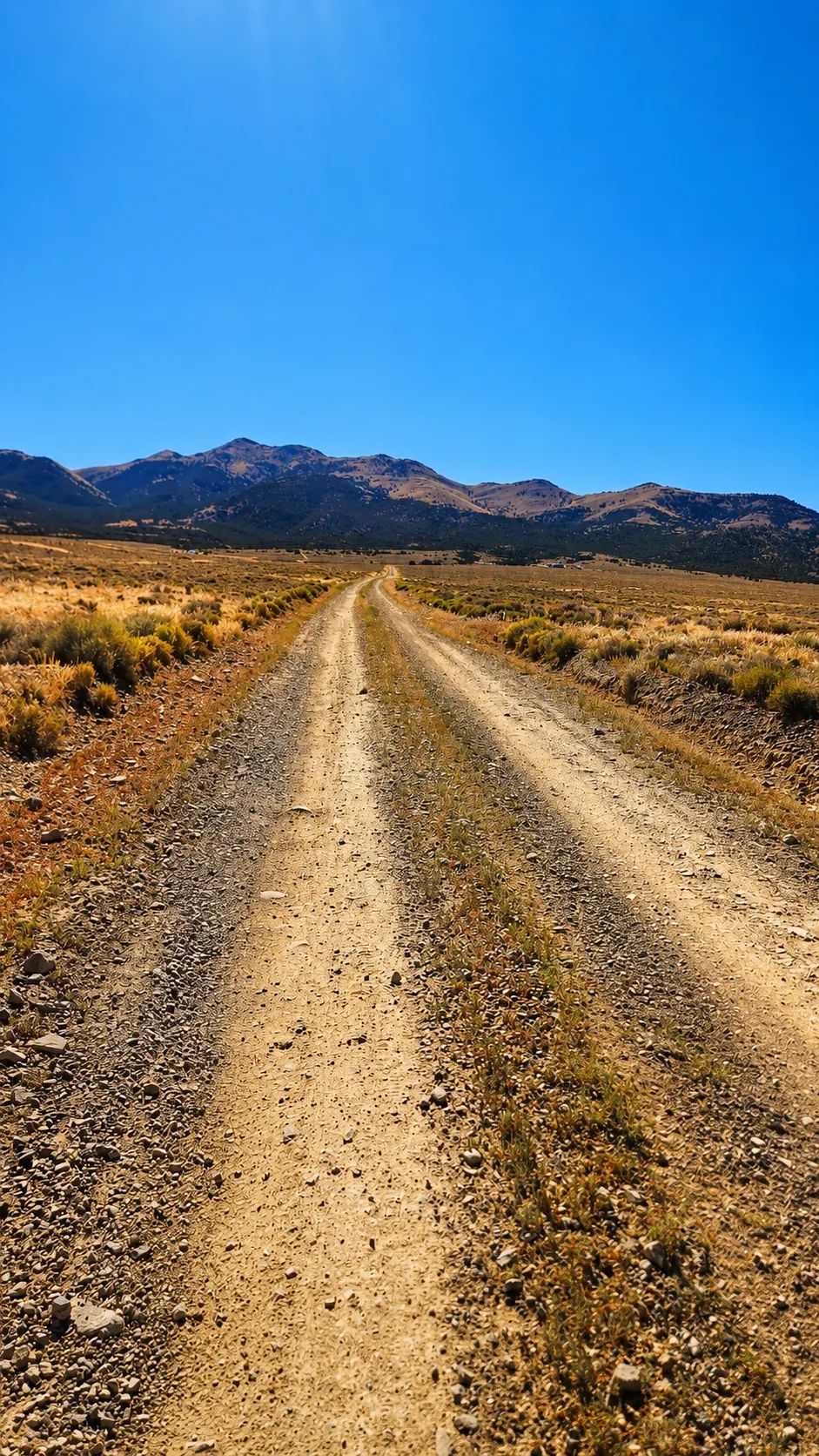 Decorative background for Own Your Wild West Base Camp Near Montello, Nevada image 6