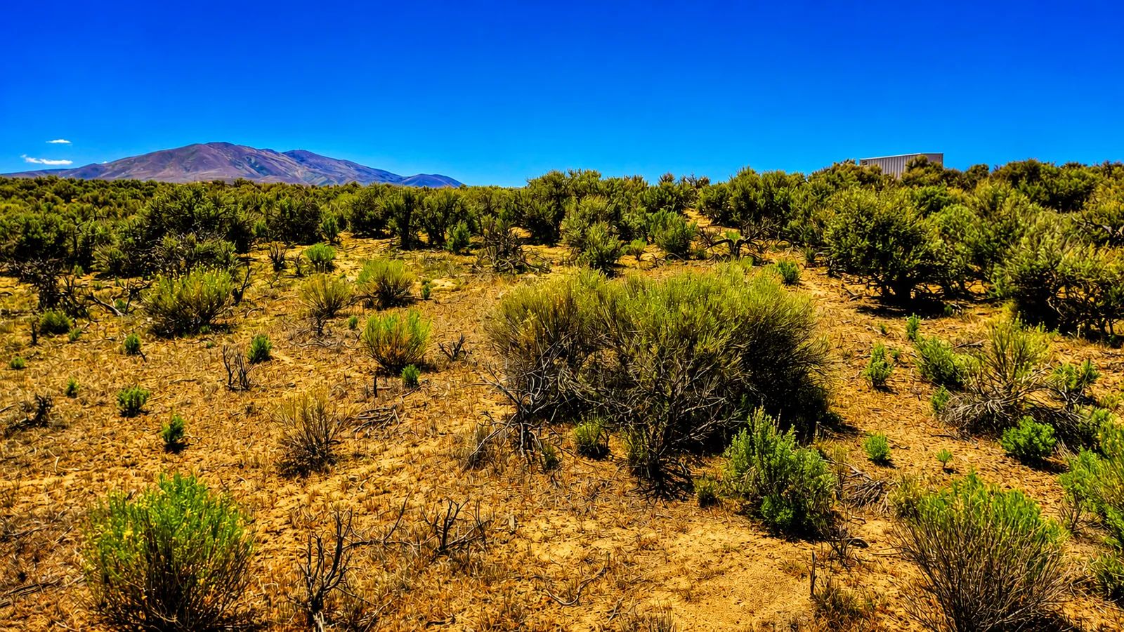 Your Desert Playground – 2.07 Acres Ryndon, NV in Elko County, NV