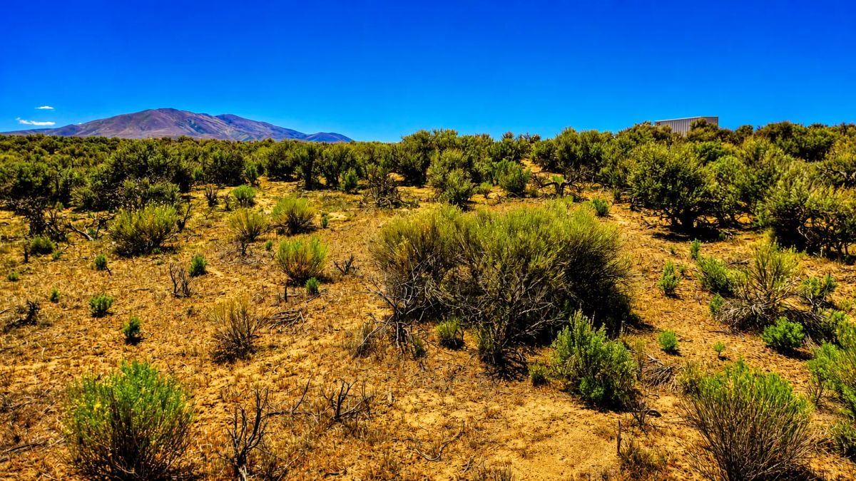 Your Desert Playground – 2.07 Acres Ryndon, NV - Image 2
