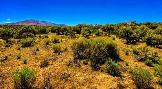 Your Desert Playground – 2.07 Acres Ryndon, NV in Elko County, NV