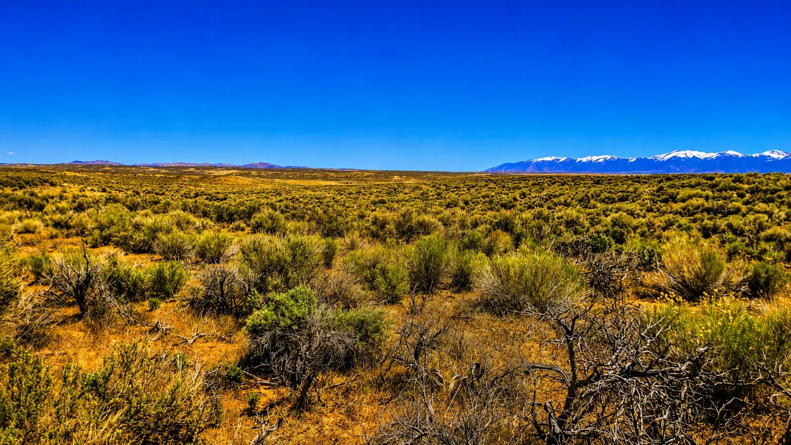 Your Desert Playground – 2.07 Acres Ryndon, NV in Elko County, NV