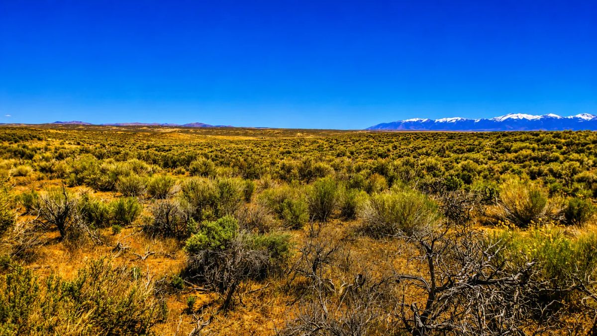 Your Desert Playground – 2.07 Acres Ryndon, NV - Image 3
