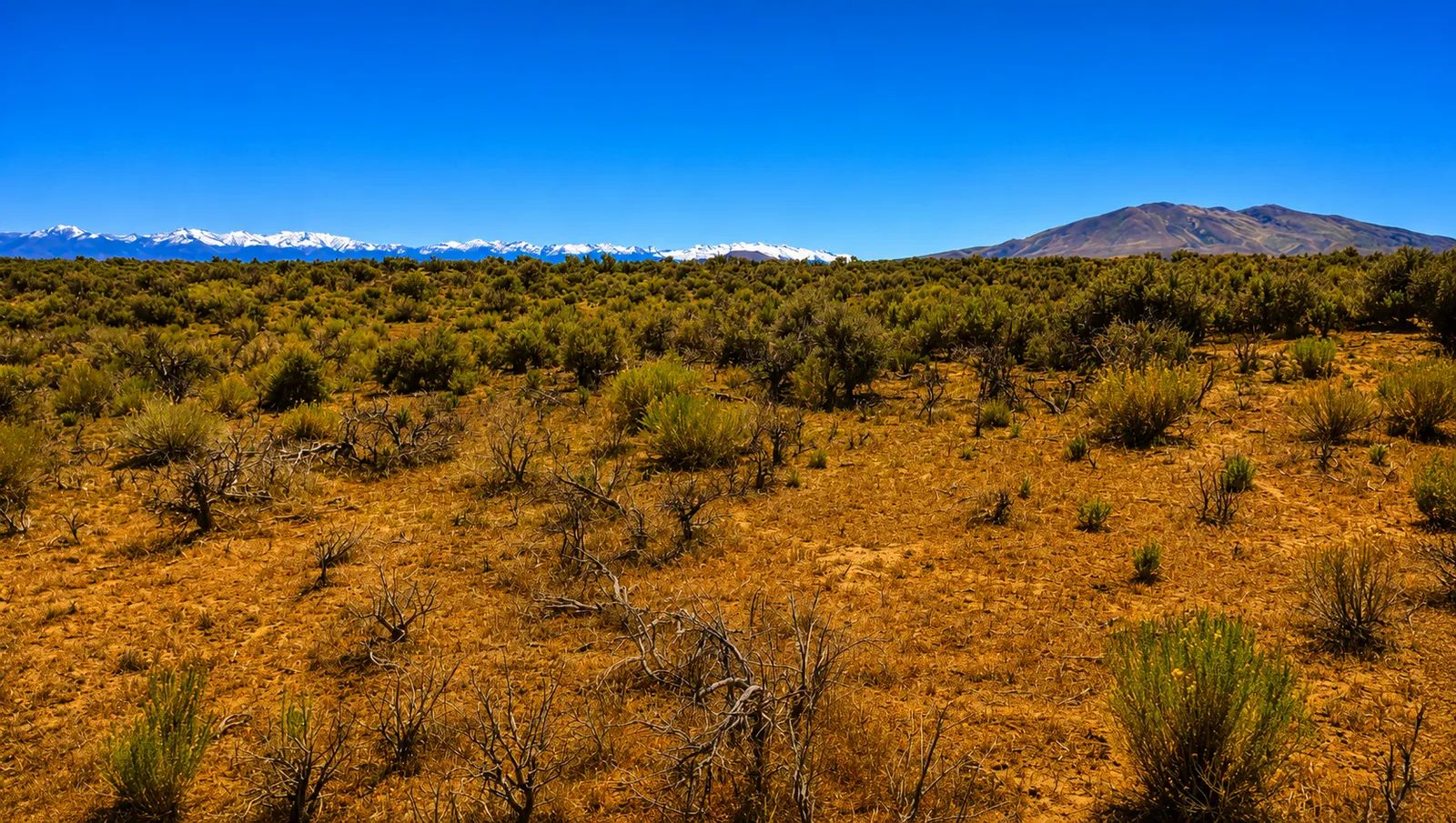 Your Desert Playground – 2.07 Acres Ryndon, NV in Elko County, NV