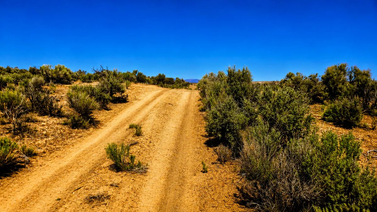 Decorative background for Your Desert Playground – 2.07 Acres Ryndon, NV image 5