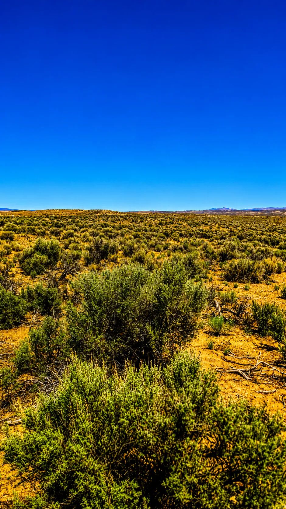 Decorative background for Your Desert Playground – 2.07 Acres Ryndon, NV image 6