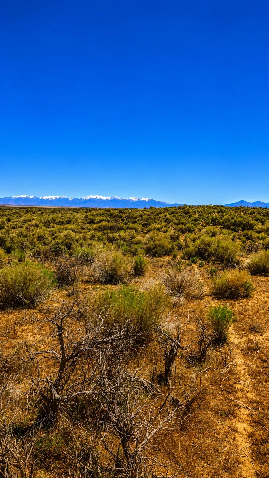 Decorative background for Your Desert Playground – 2.07 Acres Ryndon, NV image 7