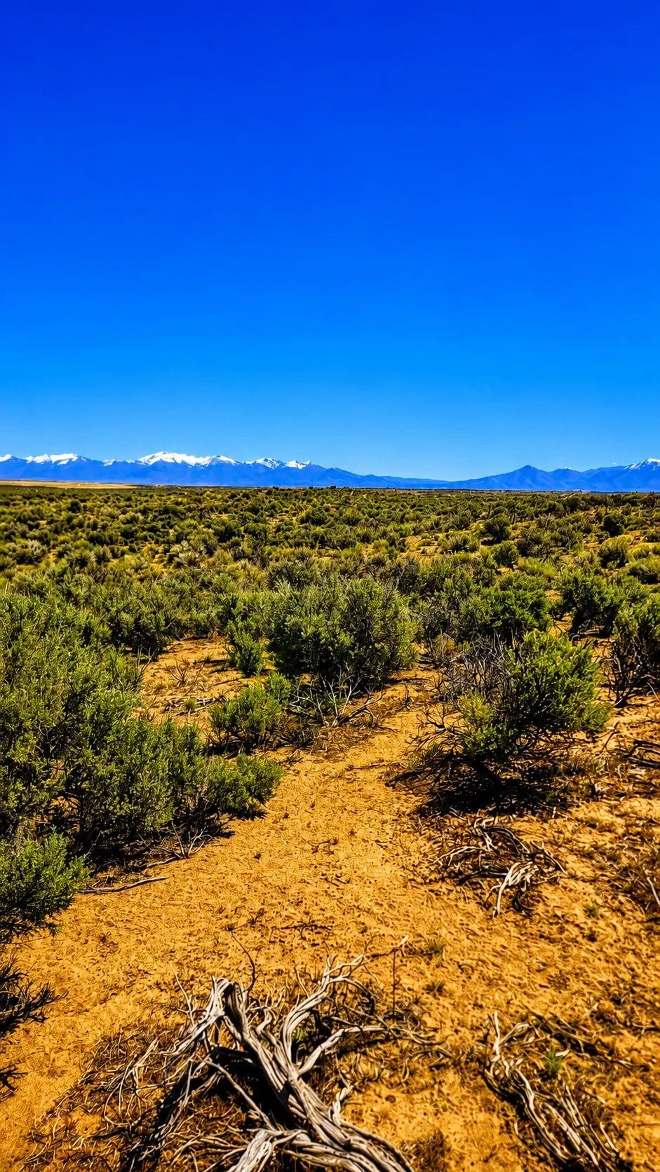 Decorative background for Your Desert Playground – 2.07 Acres Ryndon, NV image 8