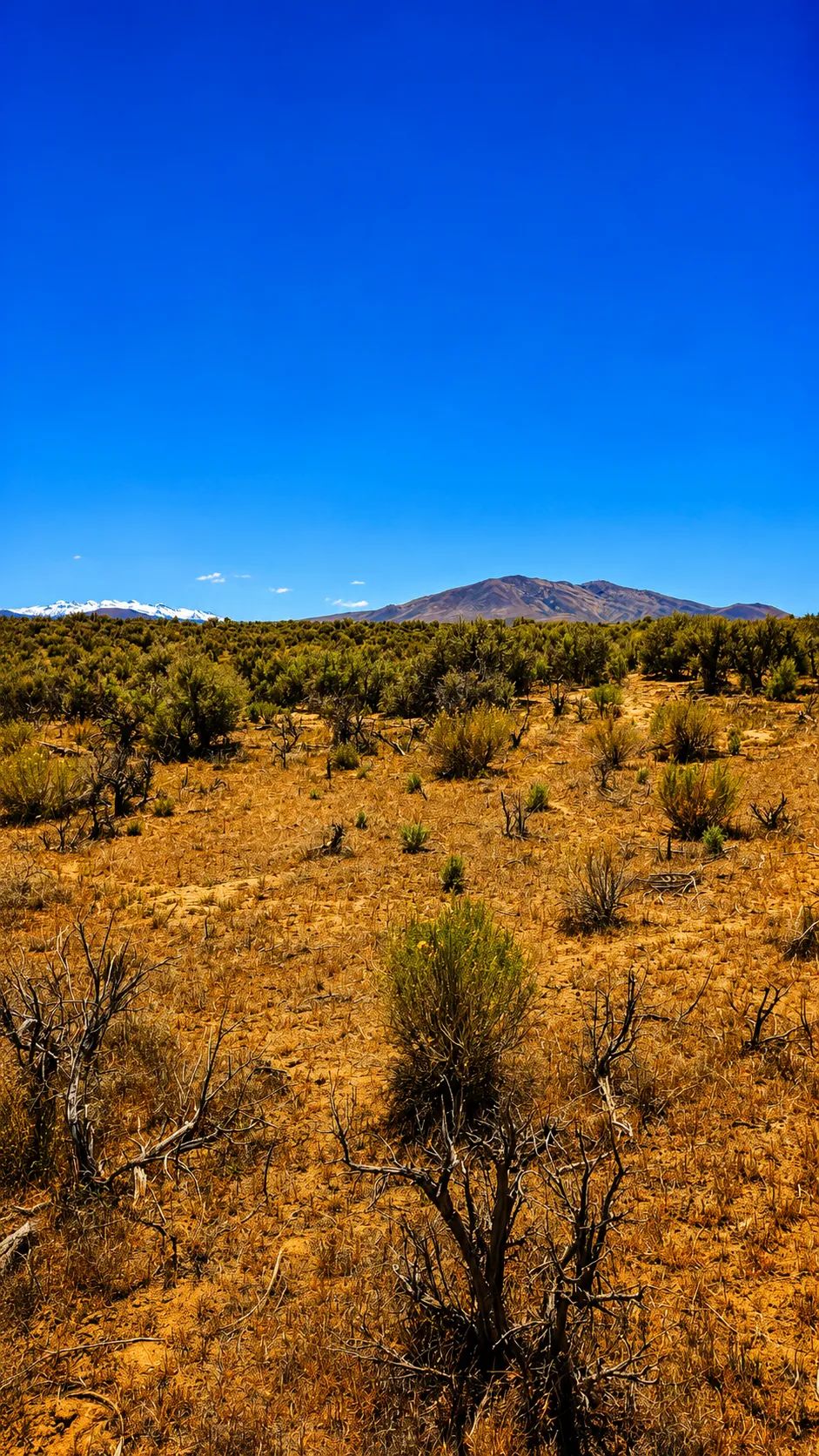 Decorative background for Your Desert Playground – 2.07 Acres Ryndon, NV image 9
