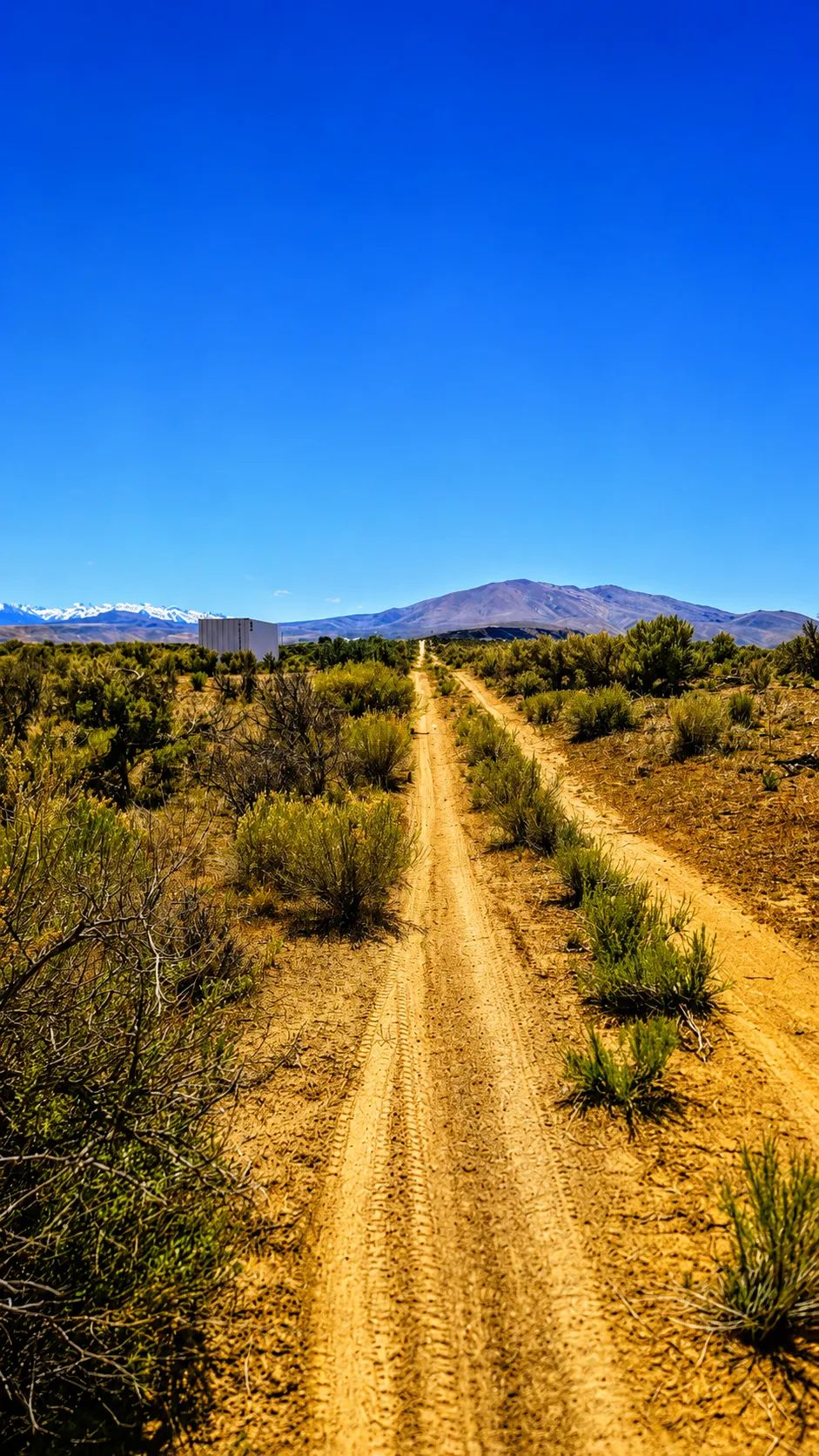 Decorative background for Your Desert Playground – 2.07 Acres Ryndon, NV image 10