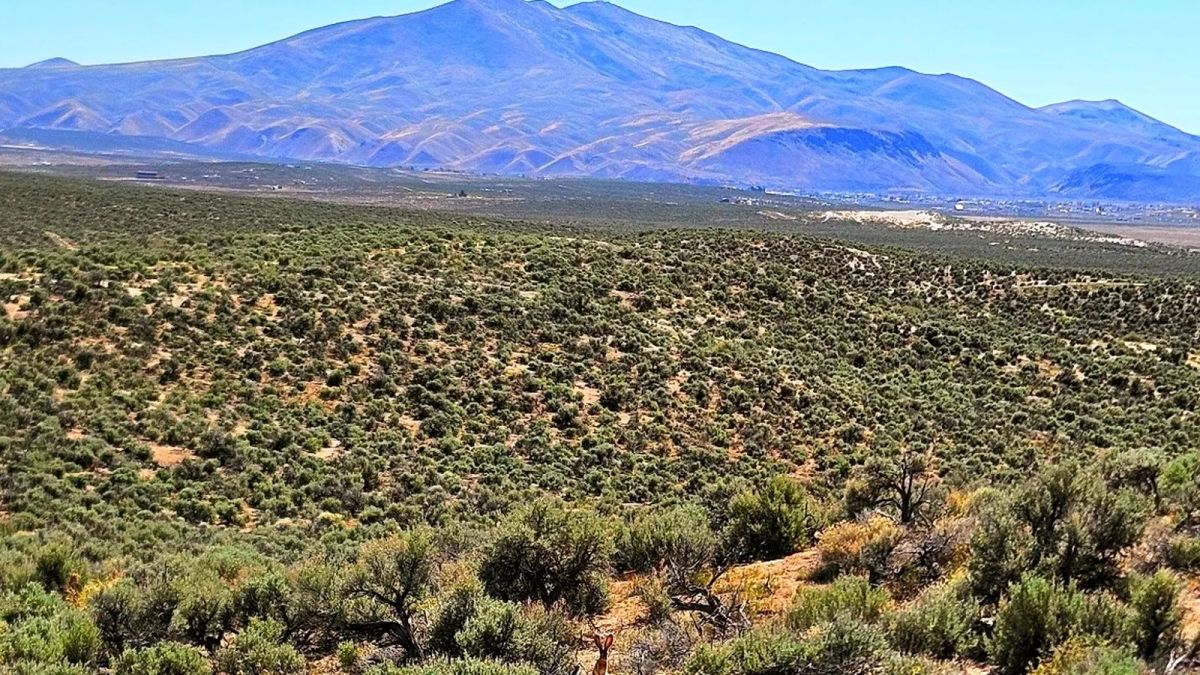 1.13 Acres Off-Grid ESCAPE!! - Main image