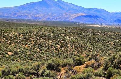 1.13 Acres Off-Grid ESCAPE!!