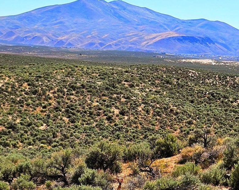 1.13 Acres Off-Grid ESCAPE!! in Elko County, NV