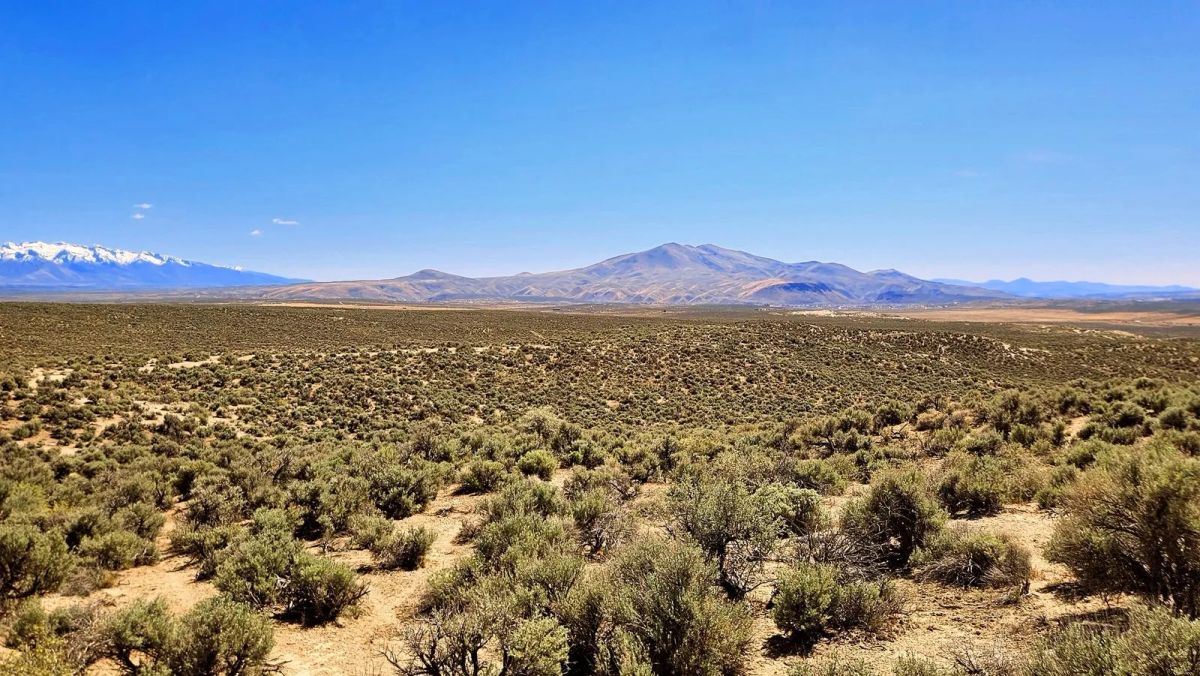 1.13 Acres Off-Grid ESCAPE!! - Image 2
