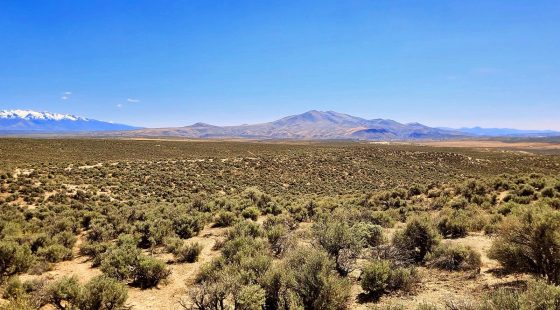 1.13 Acres Off-Grid ESCAPE!! in Elko County, NV