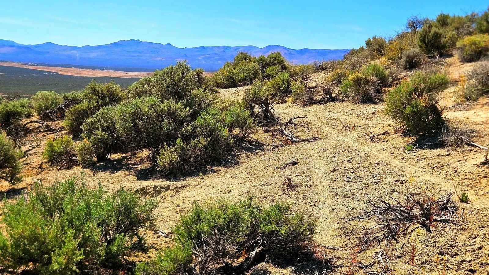 1.13 Acres Off-Grid ESCAPE!! in Elko County, NV