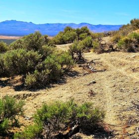 1.13 Acres Off-Grid ESCAPE!! in Elko County, NV