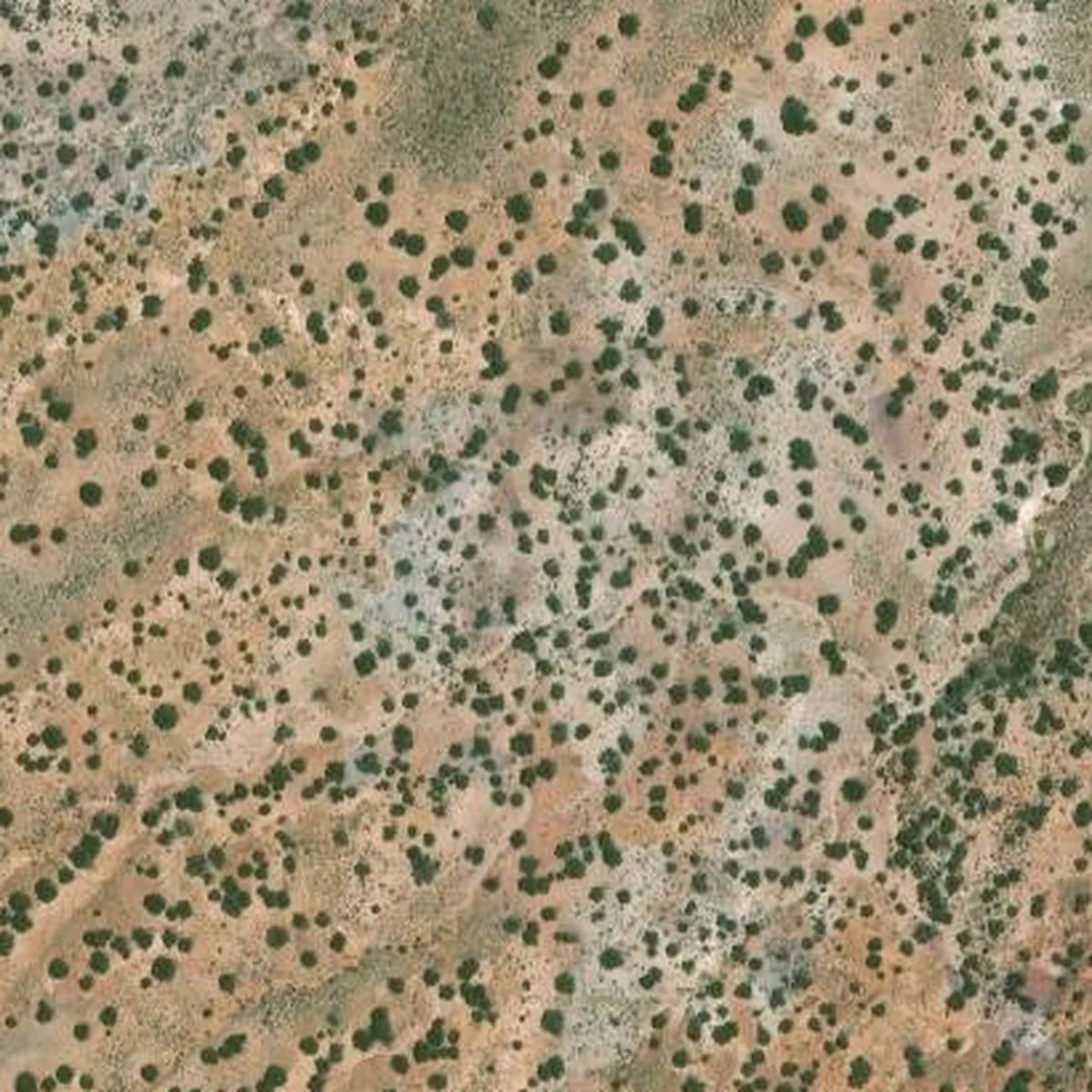 1.07 Acres near Sanders, Apache County, AZ — $125 Down, No Doc Fee