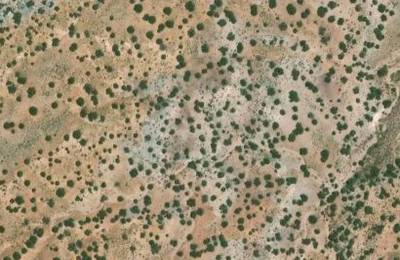 1.07 Acres near Sanders, Apache County, AZ — $125 Down, No Doc Fee