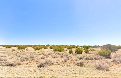 2.5 Acres near Concho, Apache County, AZ — Off-Grid Weekend Escape — $299 Down