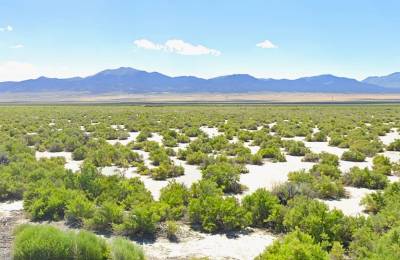 10 Acres of Open Nevada Land — Hunting & Camping Base Camp near Montello, Elko County
