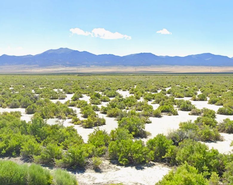 10 Acres of Open Nevada Land — Hunting & Camping Base Camp near Montello, Elko County in Elko County, NV