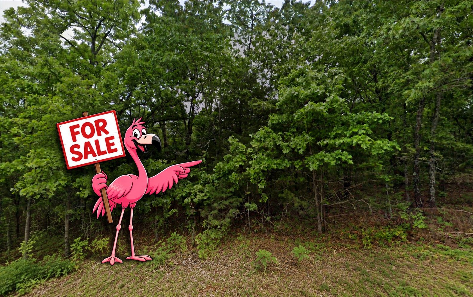1401 DEWBERRY LN, HORSESHOE BEND, AR 72512