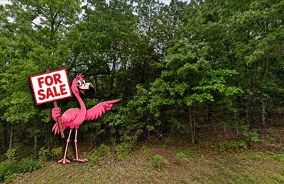 1401 DEWBERRY LN, HORSESHOE BEND, AR 72512
