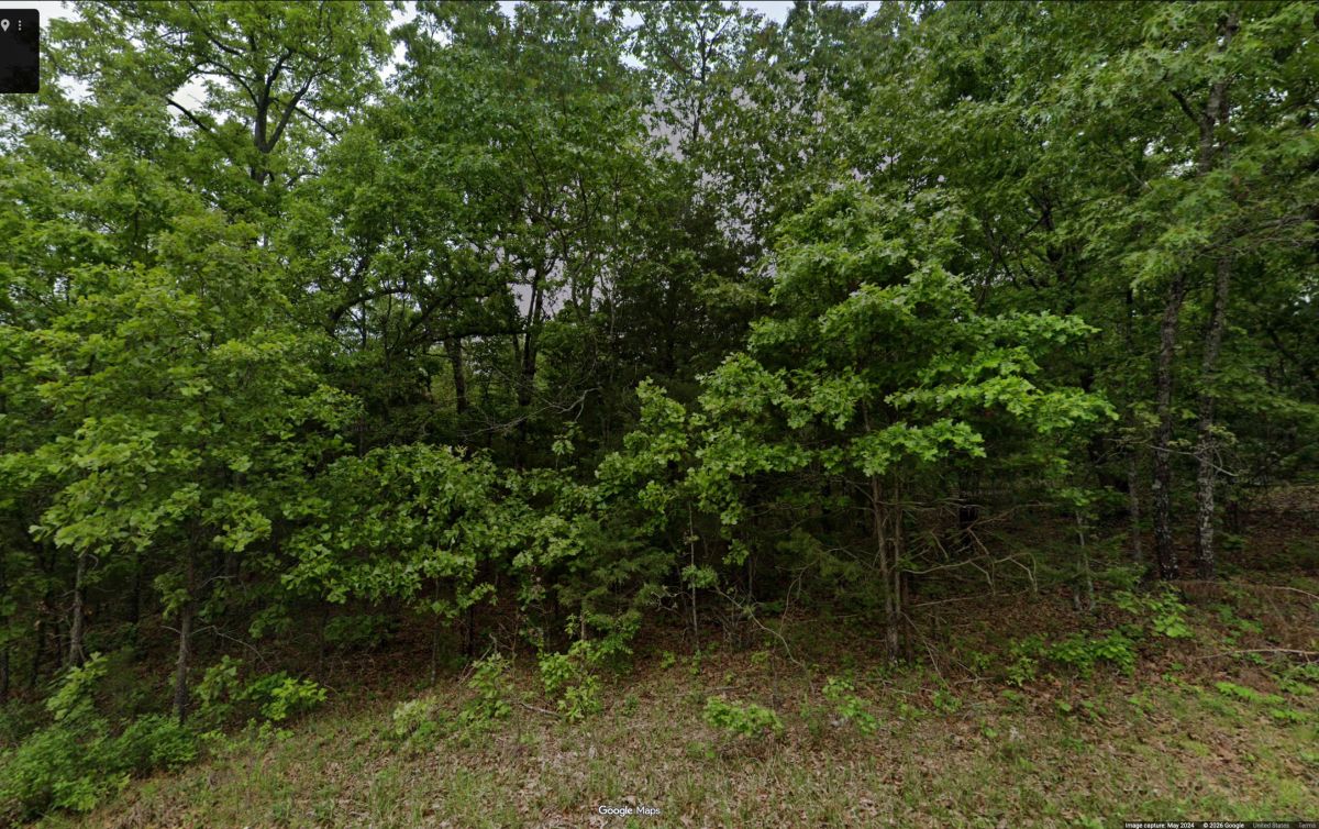 Decorative background for 1401 DEWBERRY LN, HORSESHOE BEND, AR 72512 image 5