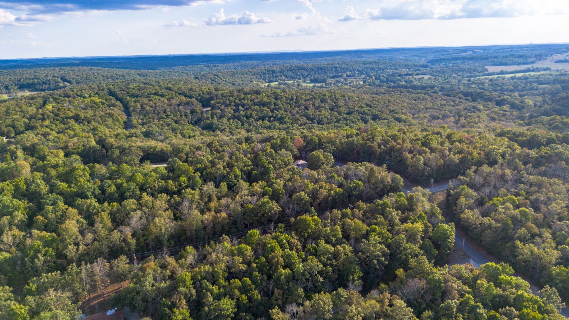 1401 DEWBERRY LN, HORSESHOE BEND, AR 72512 in Izard County, AR