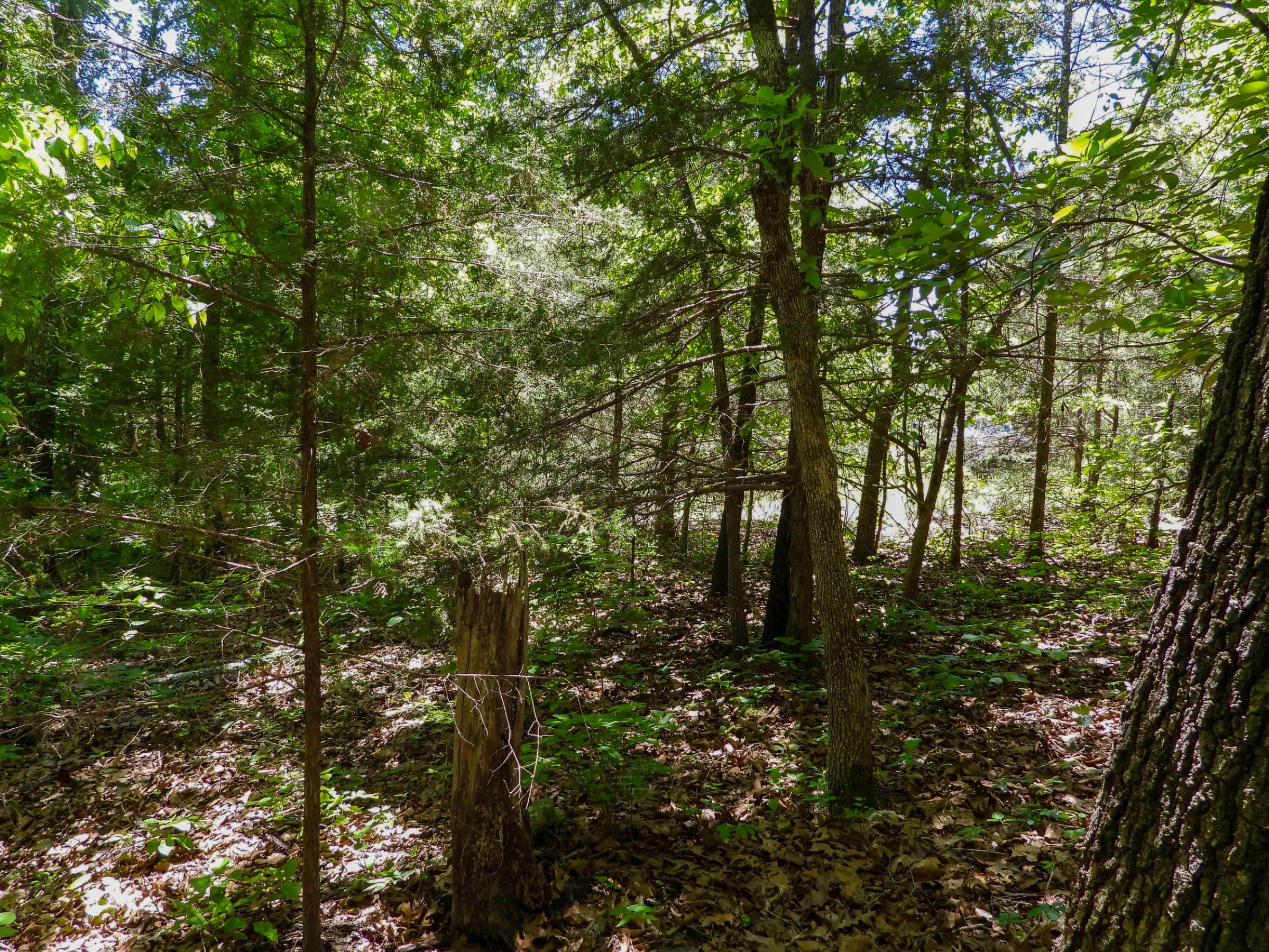 1401 DEWBERRY LN, HORSESHOE BEND, AR 72512 in Izard County, AR