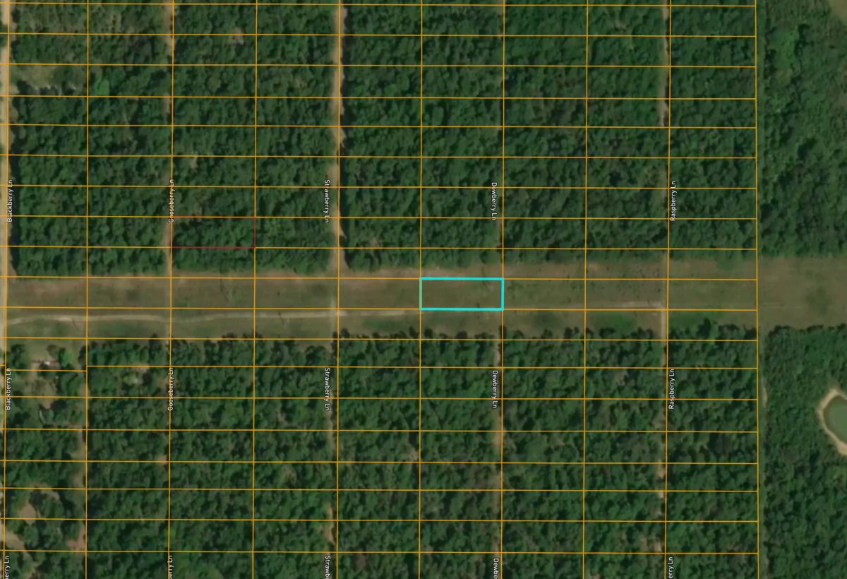 1521 DEWBERRY LN, HORSESHOE BEND, AR 72512 - Image 4
