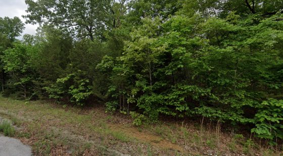 Parcel 800-02933-000 in Izard County, AR