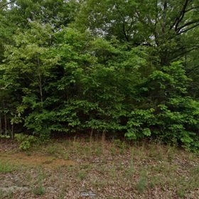 Parcel 800-02933-000 in Izard County, AR